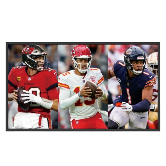 weatherproof outdoor TV 75OTV20H