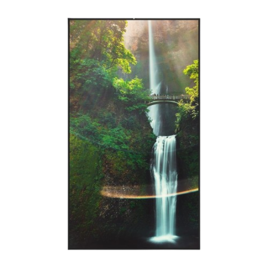 HISENSE 55WH80F 55" 4K Window facing Ultra high brightness Display - 4000 NITS