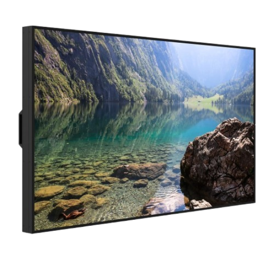 HISENSE 55WH80F 55" 4K Window facing Ultra high brightness Display - 4000 NITS